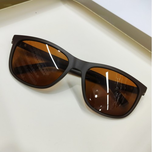 Чоловічі Polarized SL0010 brown